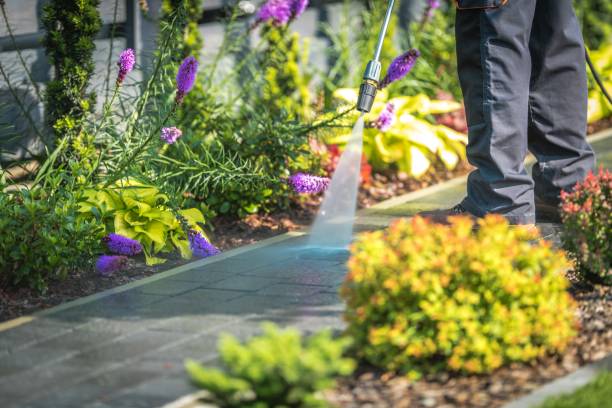 Reliable Newport, AR Pressure Washing Services Solutions