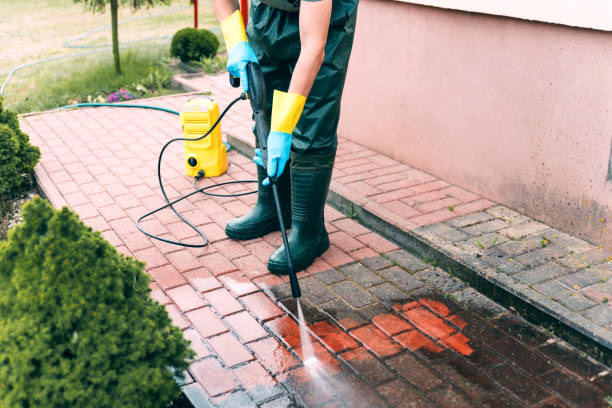 Best Driveway Cleaning and Restoration in Newport, AR