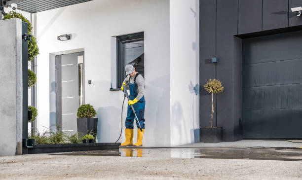 Best Soft Washing for Delicate Surfaces in Newport, AR